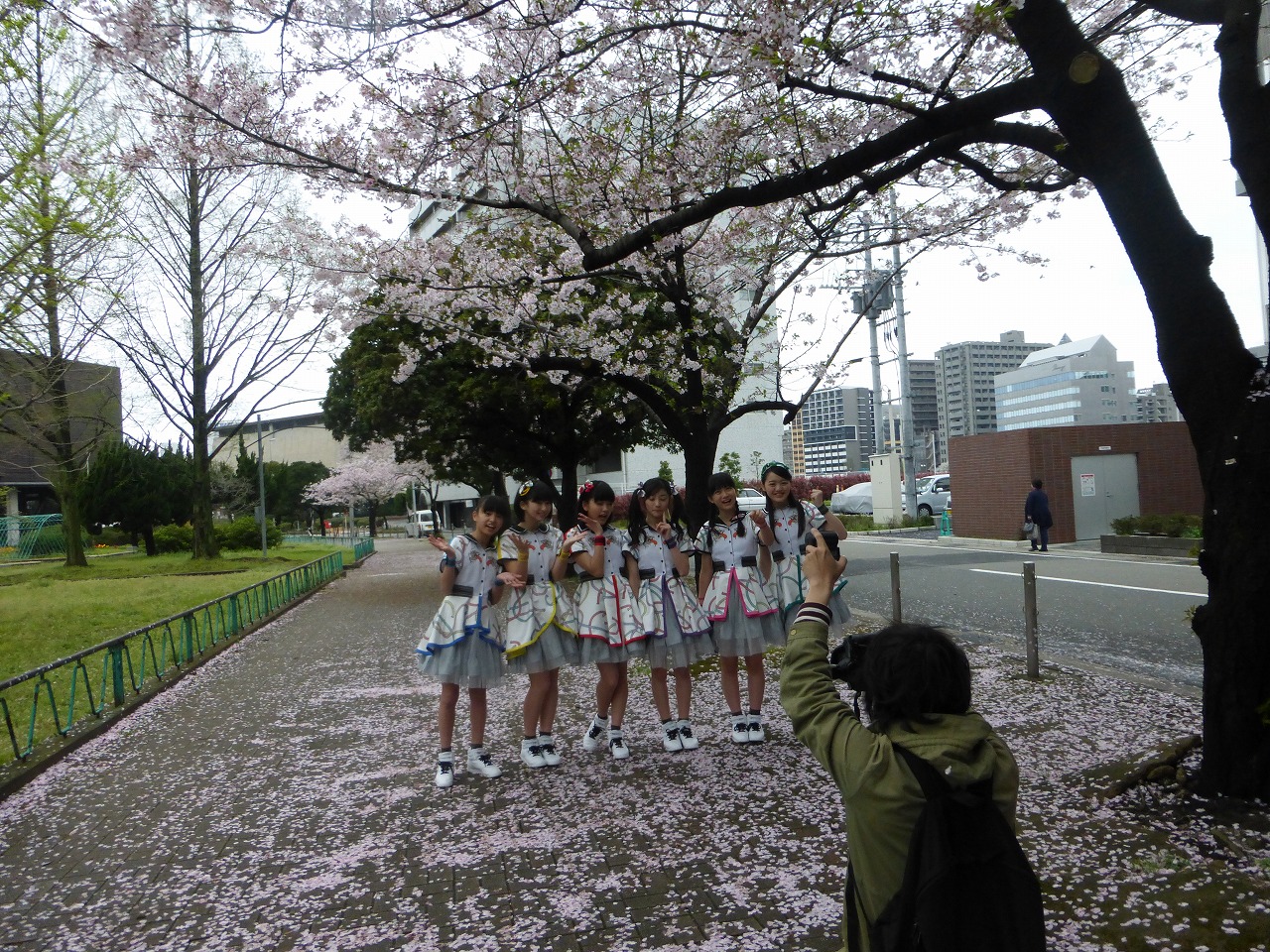 今年の桜は強風の日が多くてあっという間に散っちゃいましたね。（ばってん少女隊）